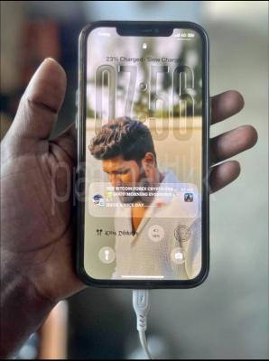 iPhone 12 PIro Max 256 GB