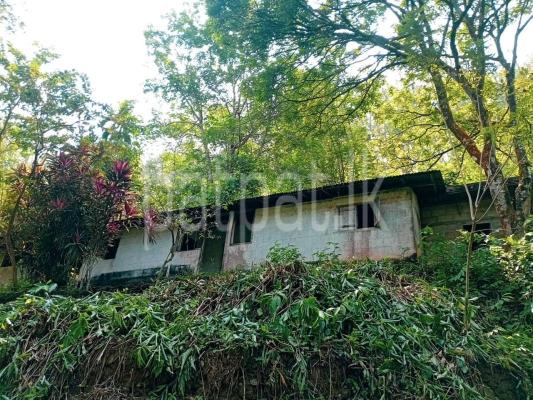 Agricultural Land for Sale in Parakaduwa