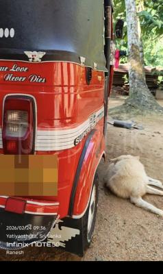 Bajaj Three Wheel 2005 - Used Three wheeler sale in Sri Lanka - patpat.lk