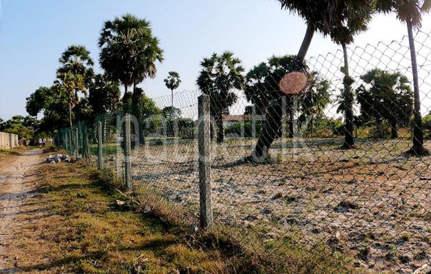 Residential Land for Sale in Jaffna
