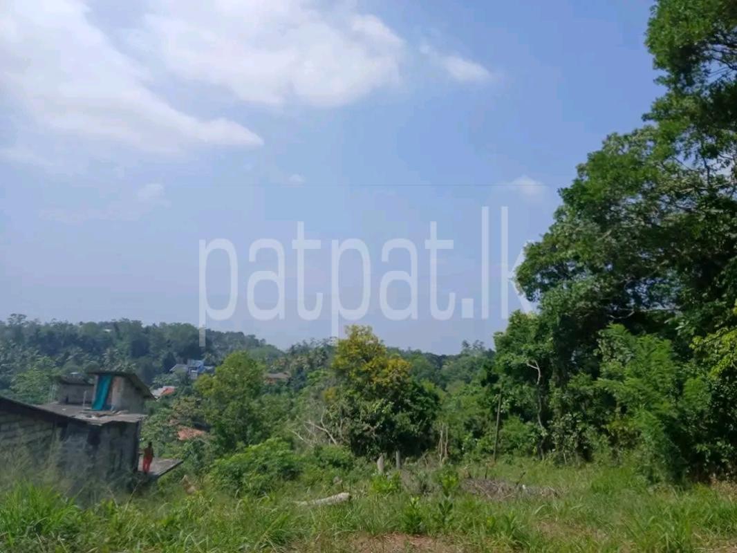 Residential Land for Sale in Kelaniya