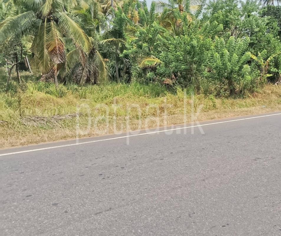 Agricultural Land for Sale in Middeniya