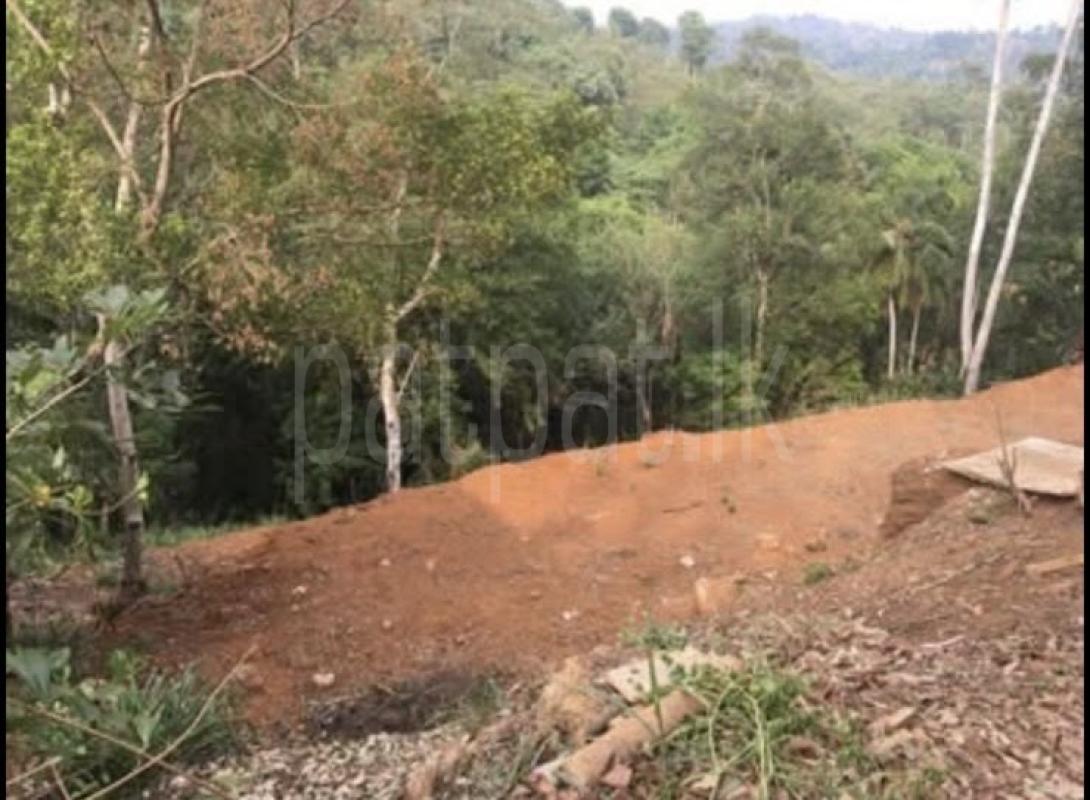 Agricultural Land for Sale in Nawalapitiya