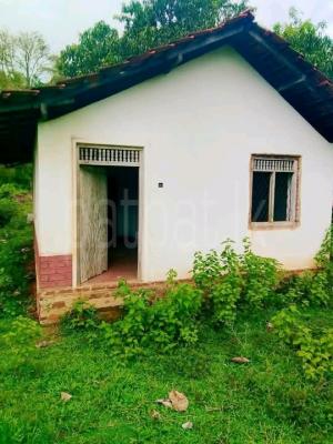 Residential Land for Sale in Narammala