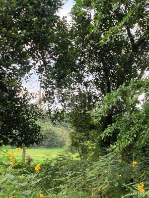 Residential Land for Sale in Gampaha