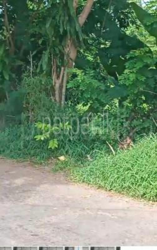 Residential Land for Sale in Piliyandala