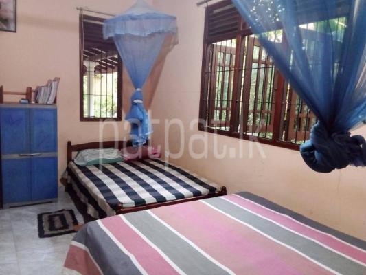 premium-listing-image