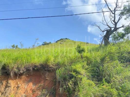 Agricultural Land for Sale in Kolonnawa