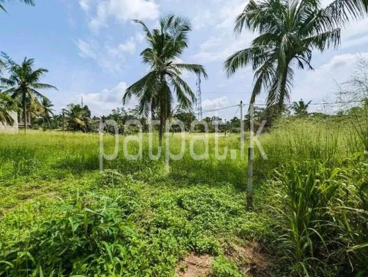 premium-listing-image