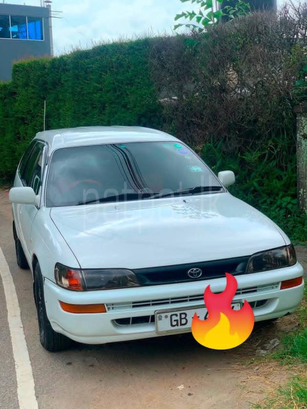 Toyota Corolla 1998 - භාවිතා කරන ලද කාර් sale in Sri Lanka - patpat.lk