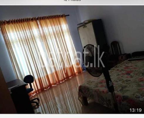 premium-listing-image