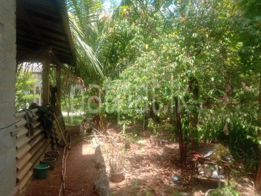 premium-listing-image