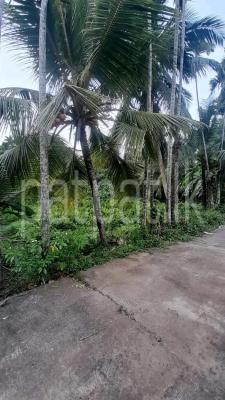Commercial Land for Sale in Panagoda