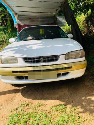 premium-listing-image