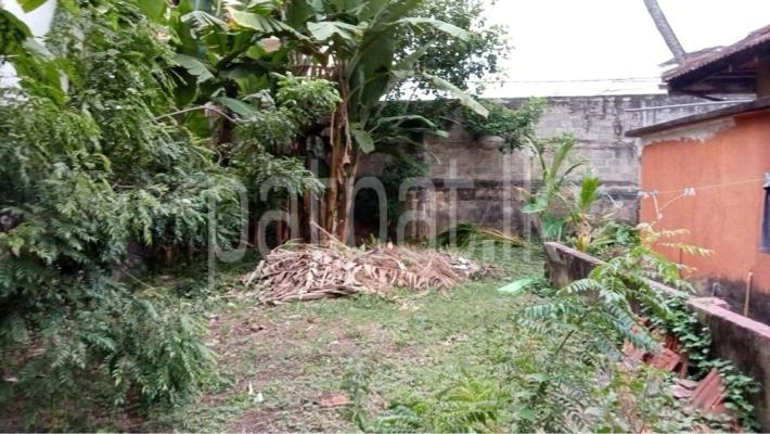 premium-listing-image