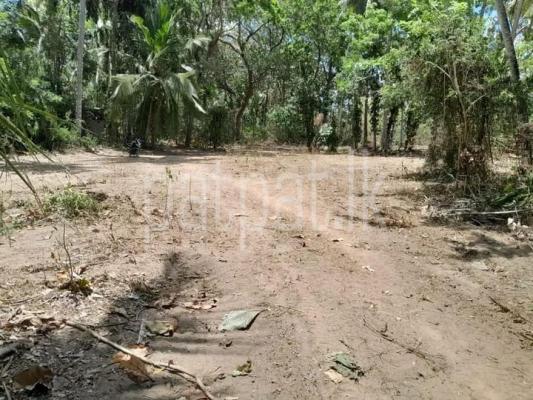 premium-listing-image