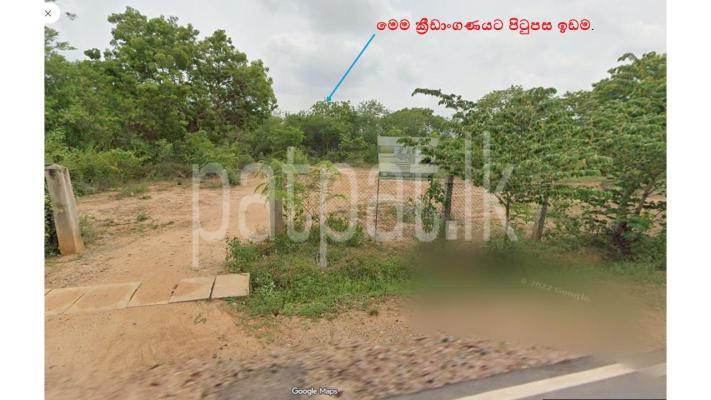 premium-listing-image