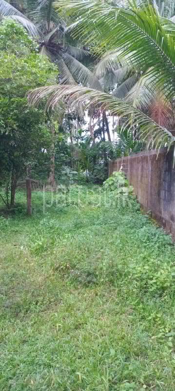Agricultural Land for Sale in Weliveriya