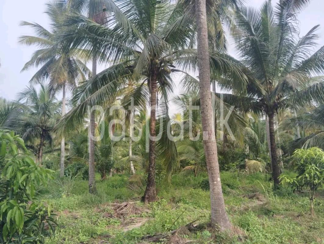 Agricultural Land for Sale in Maho