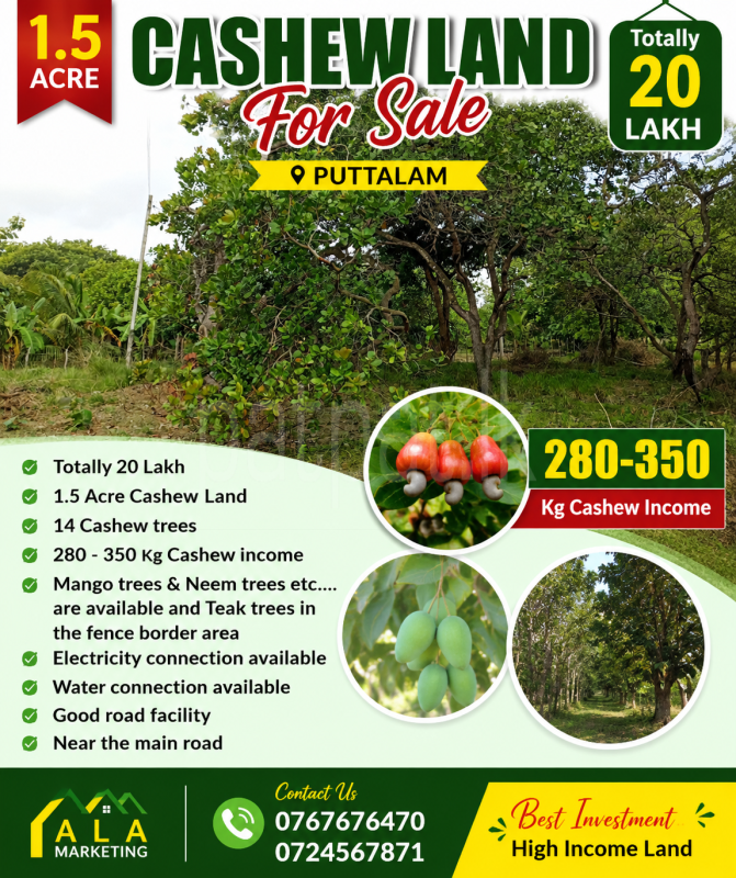 Agricultural Land for Sale in Puttalam