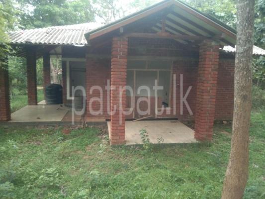 premium-listing-image