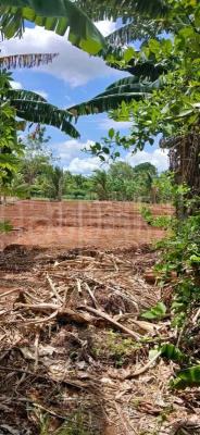 premium-listing-image