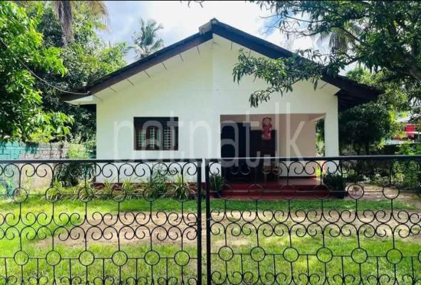 premium-listing-image