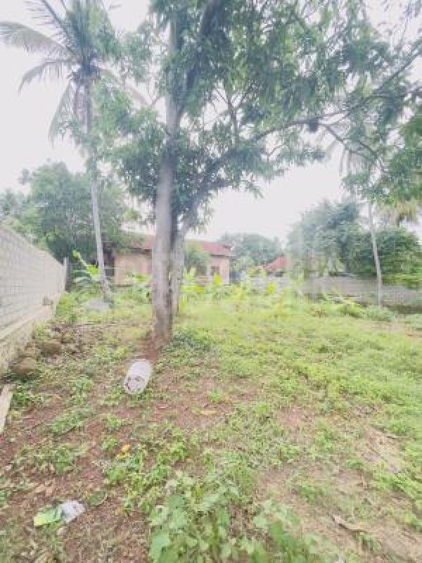 Commercial Land for Sale in Dankotuwa