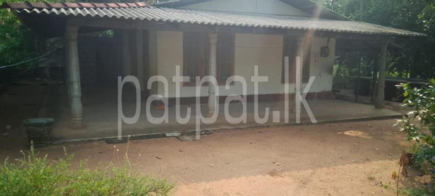 premium-listing-image