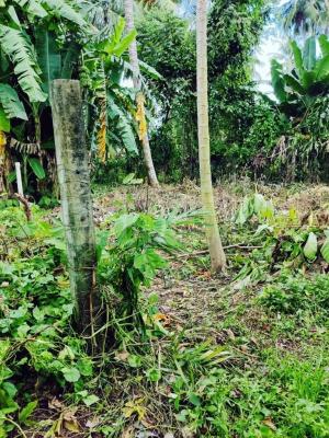 premium-listing-image