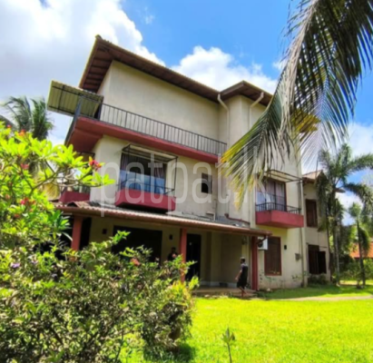 premium-listing-image