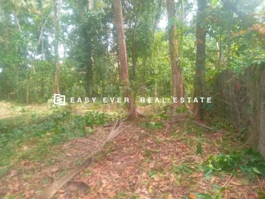 Commercial Land for Sale in Udugampola