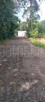 Commercial Land for Sale in Boralesgamuwa
