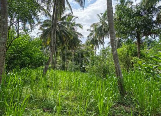 Agricultural Land for Sale in Inamaluwa