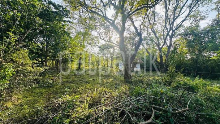 Residential Land for Sale in Kataragama