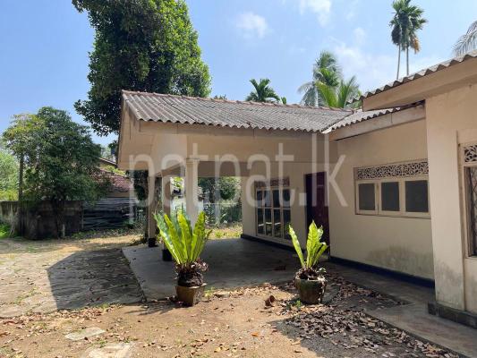 premium-listing-image