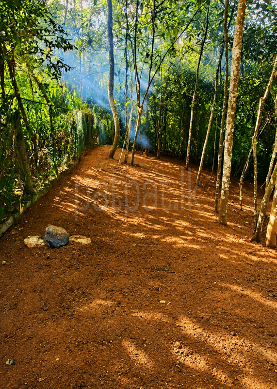 Residential Land for Sale in Peradeniya
