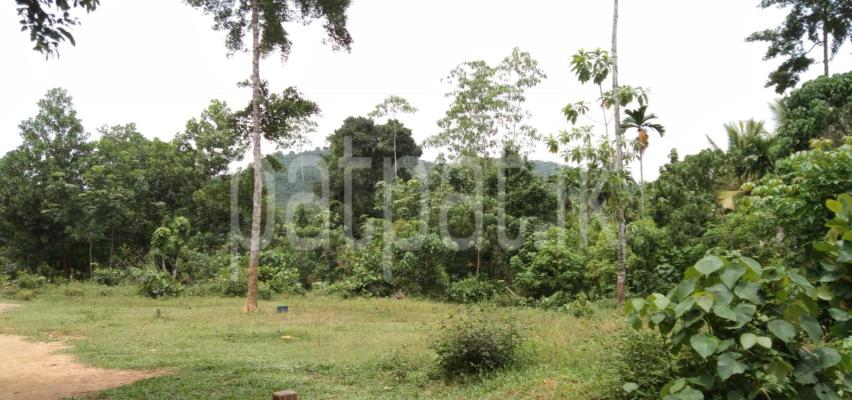 premium-listing-image