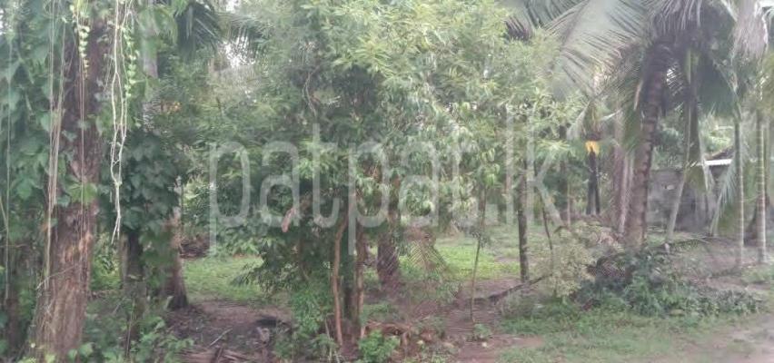 Residential Land for Sale in Divulapitiya