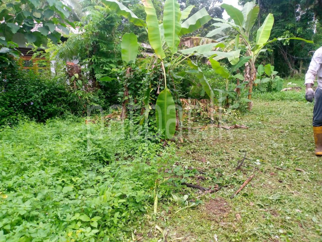 Commercial Land for Sale in Horana