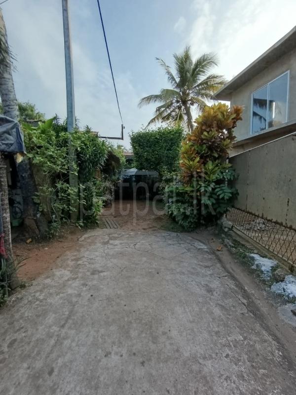 ads-image-1
