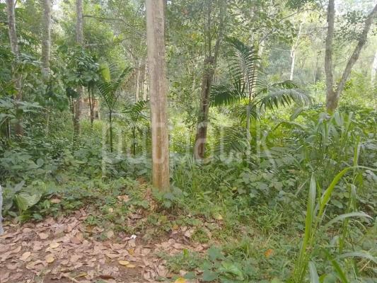 Residential Land for Sale in Gampola