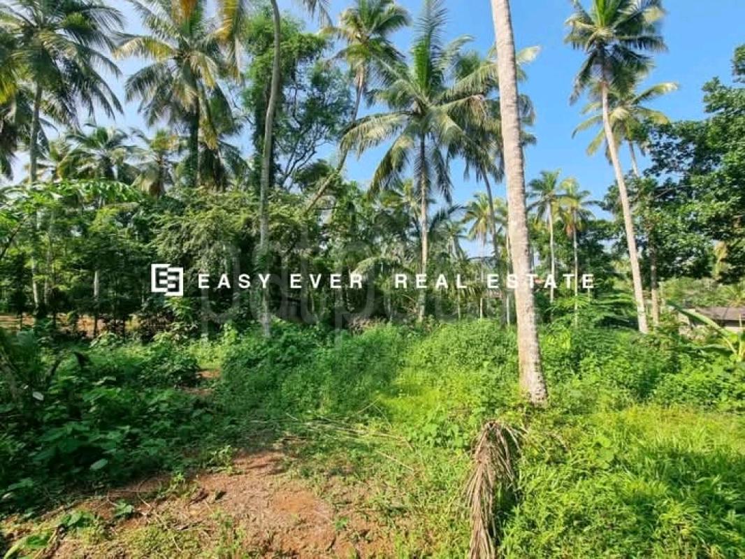Commercial Land for Sale in Veyangoda