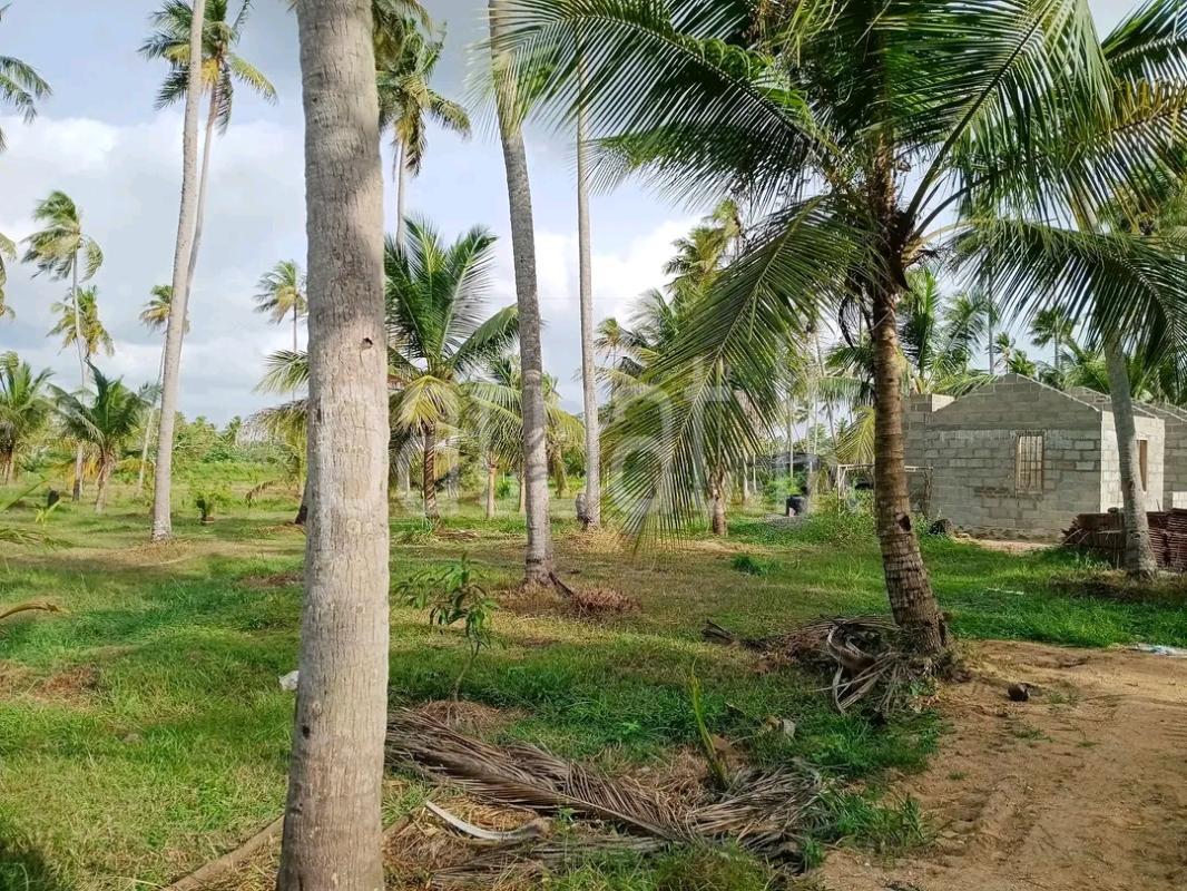Agricultural Land for Sale in Mawathagama