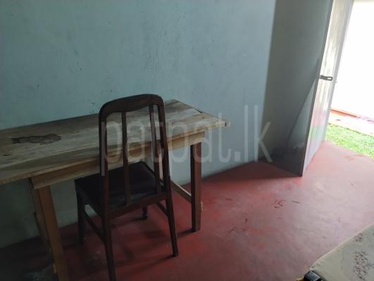 Room for Rent in Boralesgamuwa