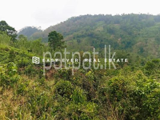 Residential Land for Sale in Ratnapura