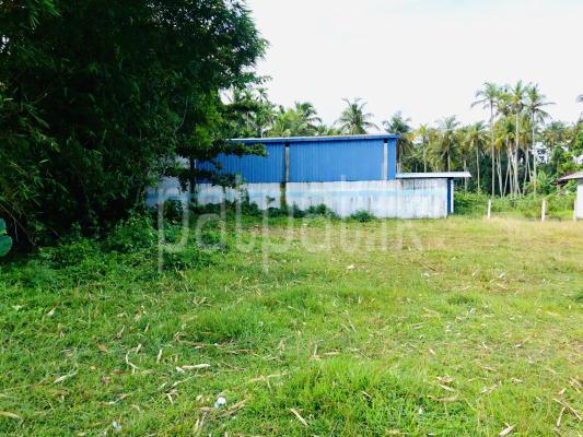 premium-listing-image