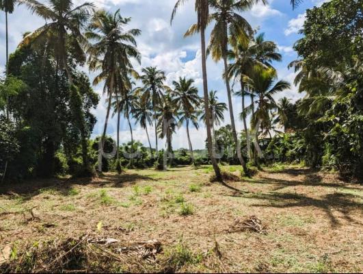 Residential Land for Sale in Kalagedihena