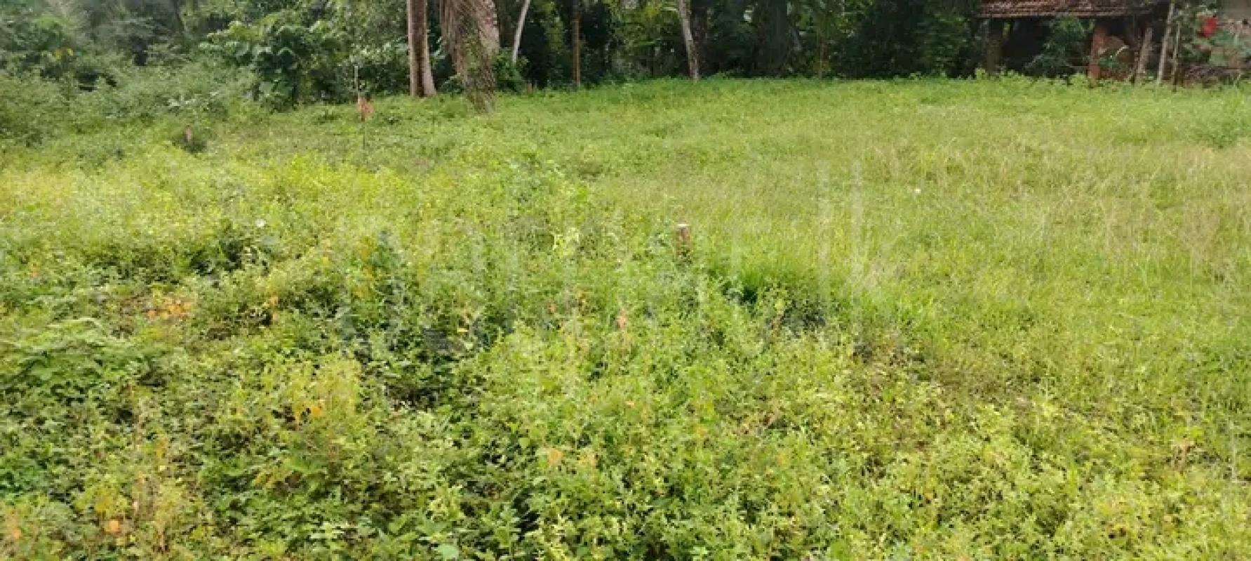 Residential Land for Sale in Nittambuwa
