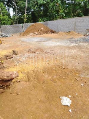 premium-listing-image